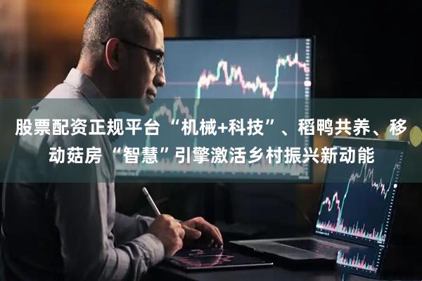 股票配资正规平台 “机械+科技”、稻鸭共养、移动菇房 “智慧”引擎激活乡村振兴新动能