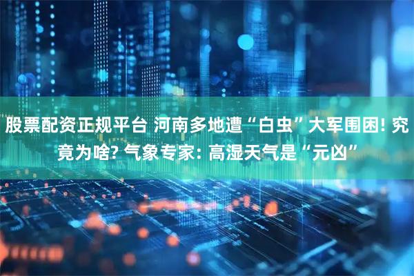 股票配资正规平台 河南多地遭“白虫”大军围困! 究竟为啥? 气象专家: 高湿天气是“元凶”